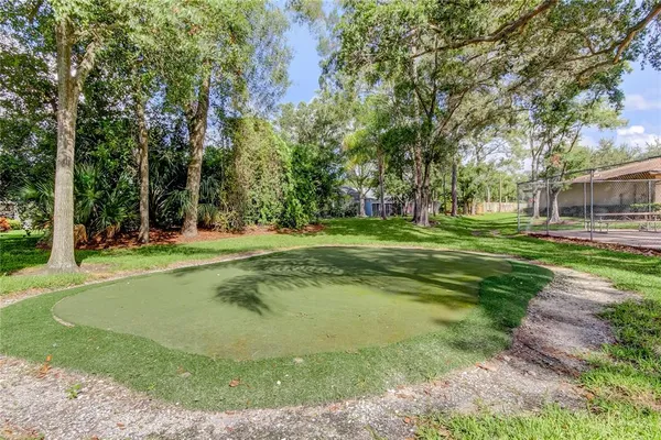 a view of a trees in a field