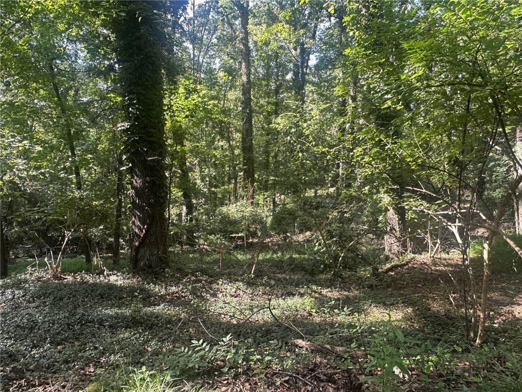 112 Cherry Street Roswell, GA 30075 - Photo 3 of 9 a view of a forest