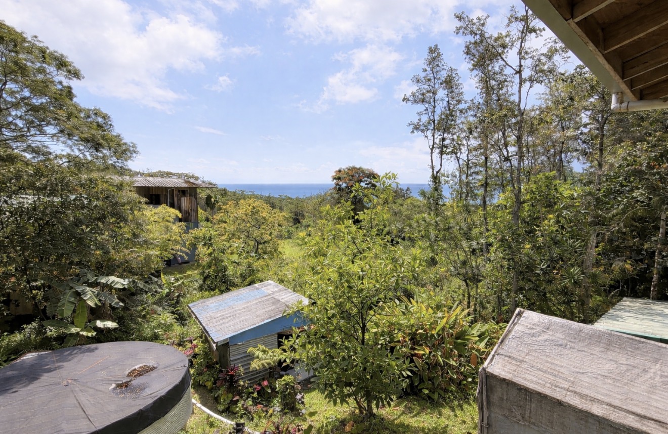 12-479 Aloha Road Pahoa, HI 96778 - Photo 11 of 30 Gallery Image 11