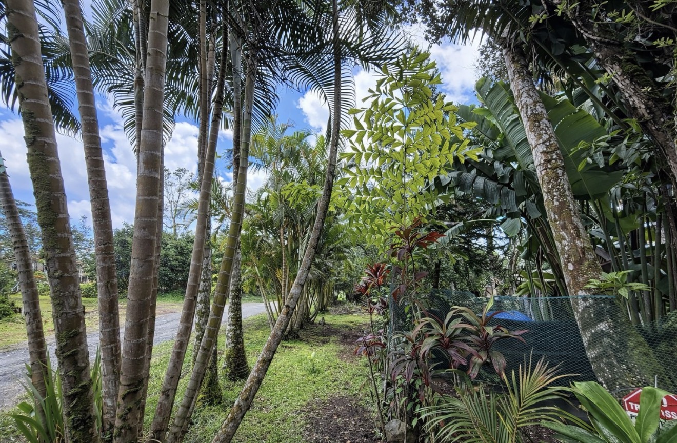 12-479 Aloha Road Pahoa, HI 96778 - Photo 28 of 30 Gallery Image 28