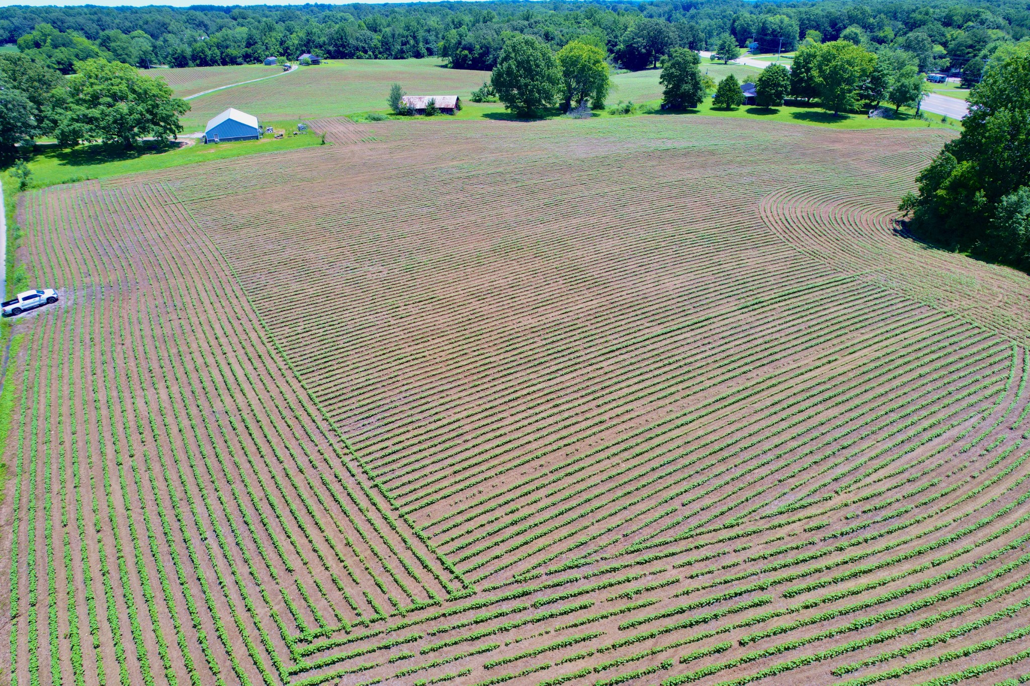 20 Lambs Ferry Road Leoma, TN 38468 - Photo 7 of 12