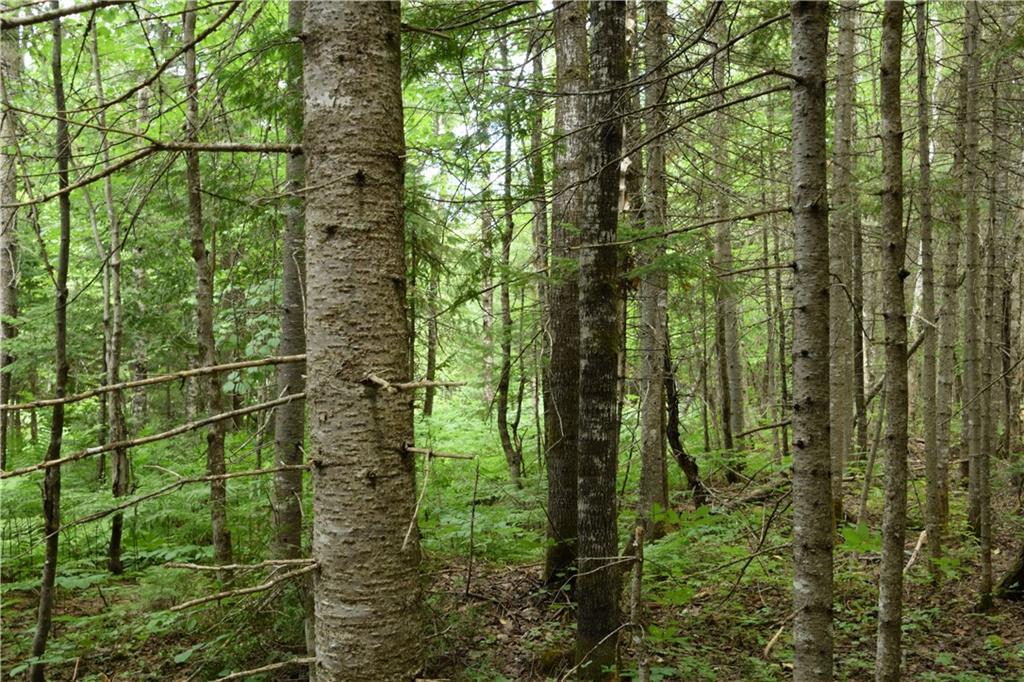 0 Jemtland Road Caribou, ME 04736 - Photo 15 of 17 Land