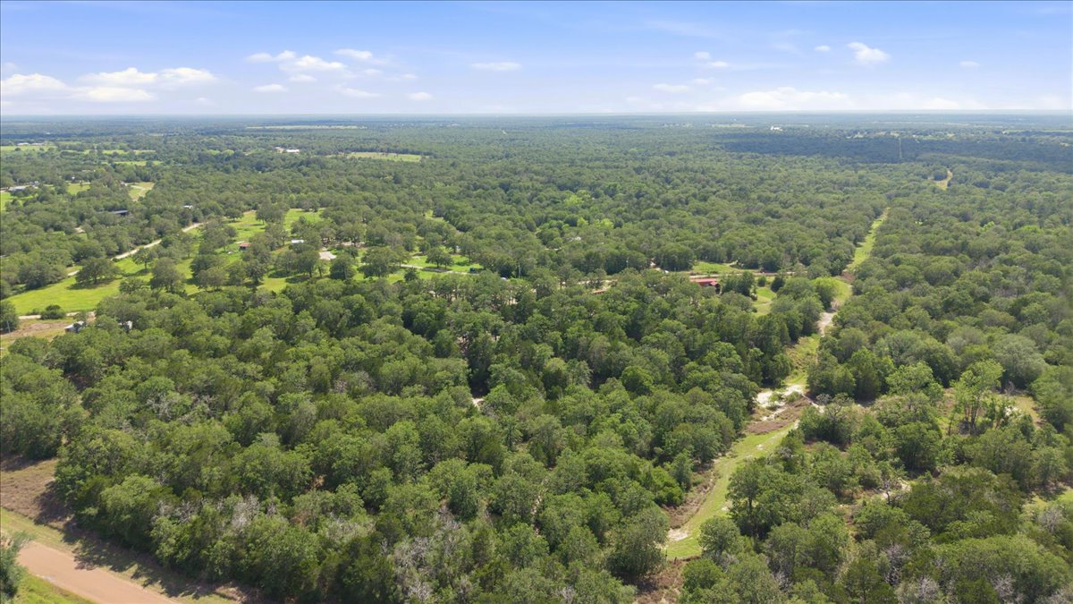 1705 Makinson Road West Point, TX 78963 - Photo 34 of 40 Vast, verdant landscape offering unparalleled privacy and natural beauty for an exclusive retreat.
