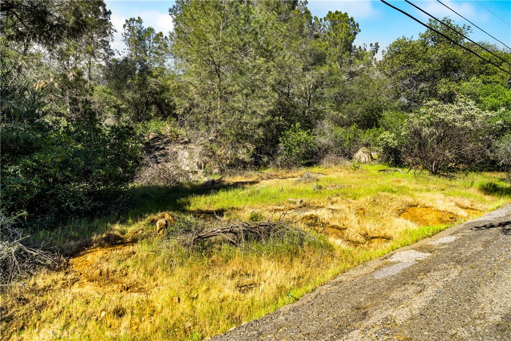 0 Iron Mine Road Auburn, CA 95602 - Photo 16 of 31 Gallery Image 16