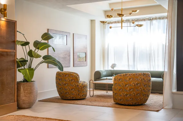 a living room with couches and a potted plant