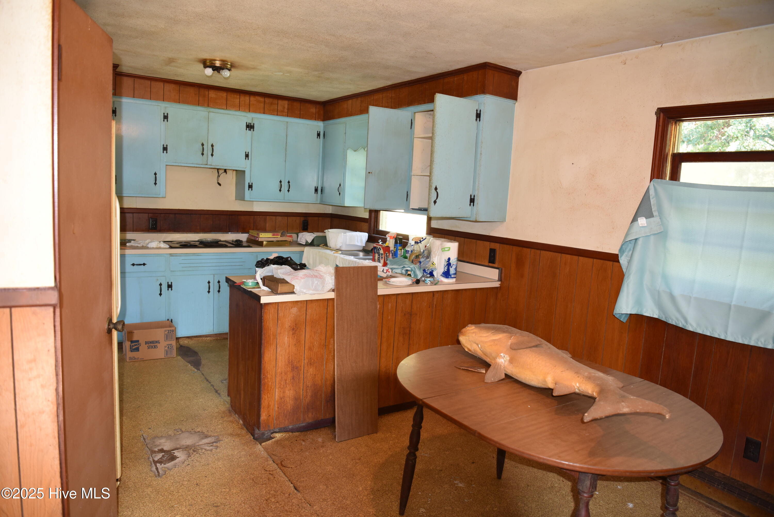 211 East Modlin Road Ahoskie, NC 27910 - Photo 8 of 13 Kitchen
