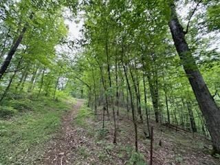 1065 Stanton Road Seymour, TN 37865 - Photo 45 of 61