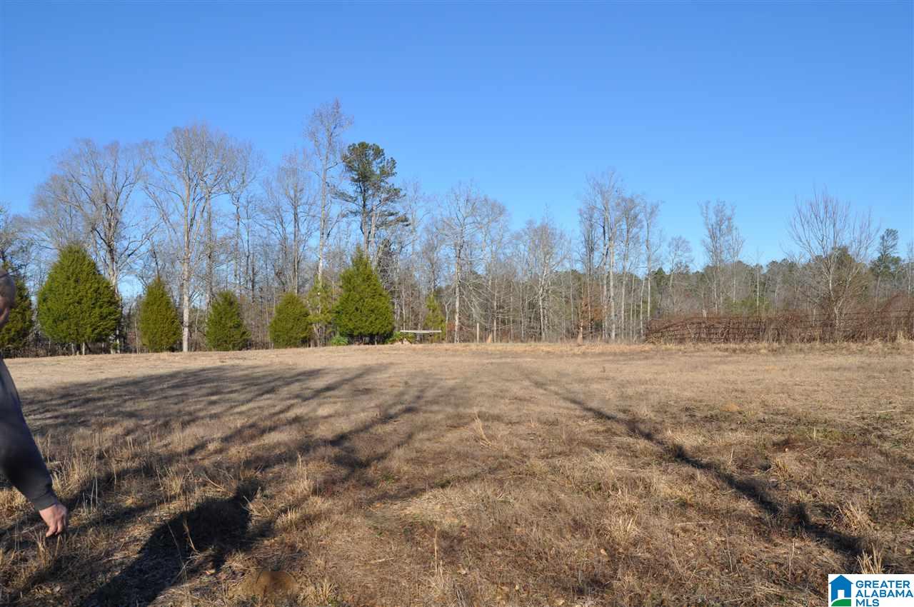 990 Thompson Road Ohatchee, AL 36271 - Photo 32 of 38 Gallery Image 32