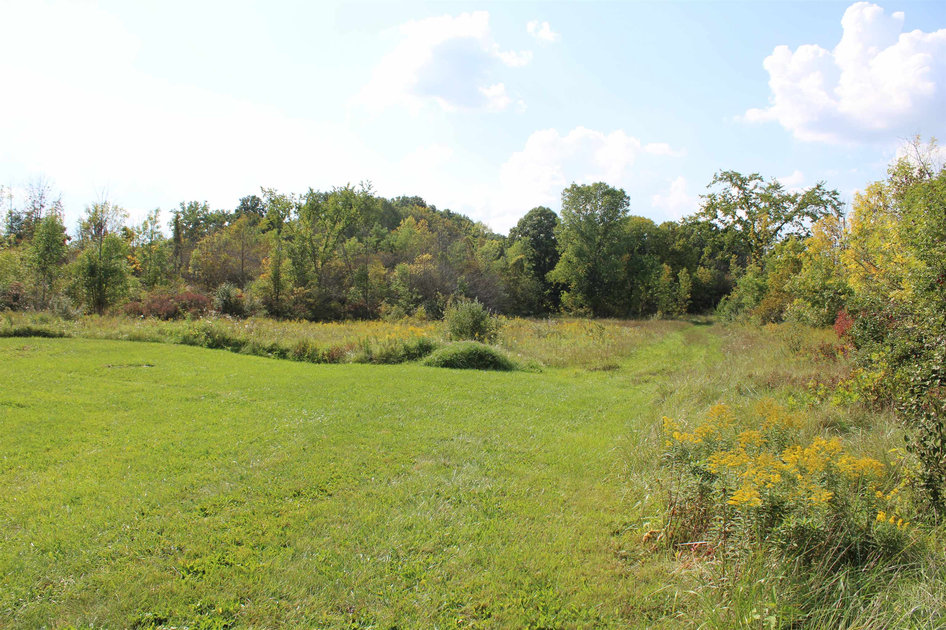 2681 North Leaton Road Mount Pleasant, MI 48858 - Photo 31 of 32 1916025-30.JPG