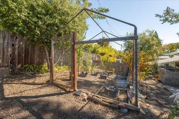 a view of a street with a large tree in front of it