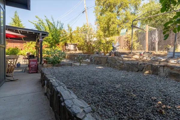 a view of a backyard with fountain plants and large tree