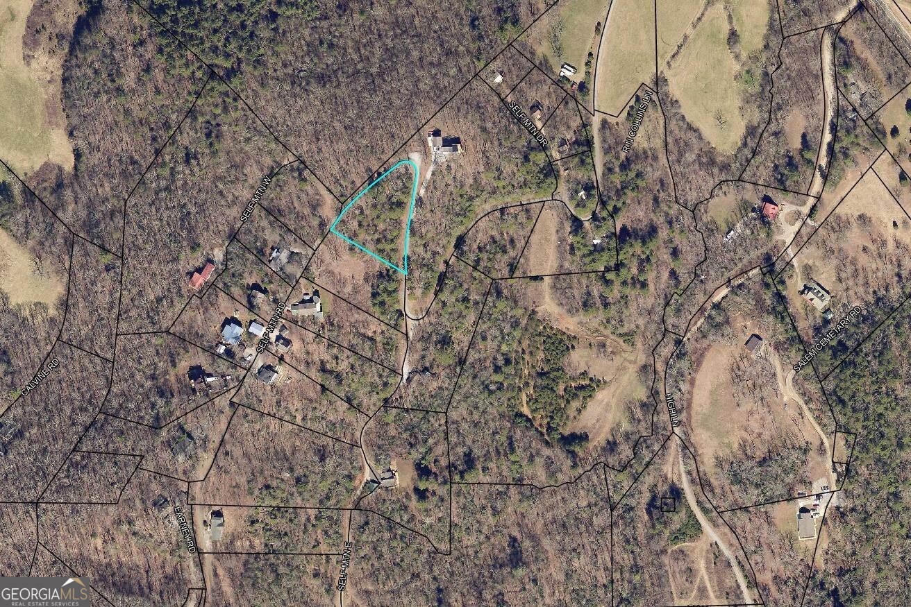 Lot 11 Self Mountain Road Blairsville, GA 30512 - Photo 1 of 1