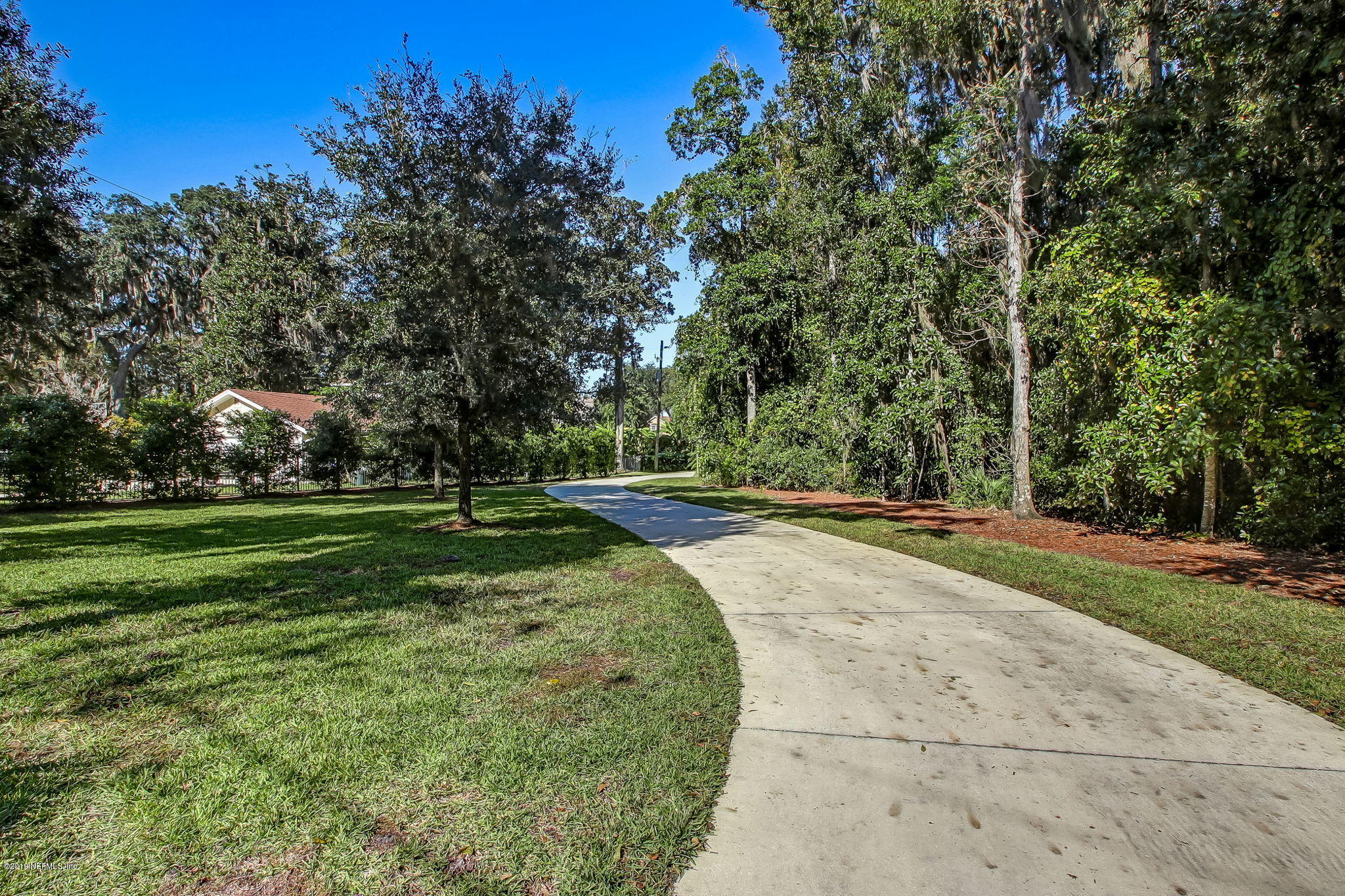 1895 Bishop Estates Road Jacksonville, FL 32259 - Photo 89 of 102 a view of a park with large trees