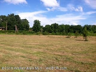 Crestview Road Cordova, AL 35550 - Photo 1 of 15 Gallery Image 1