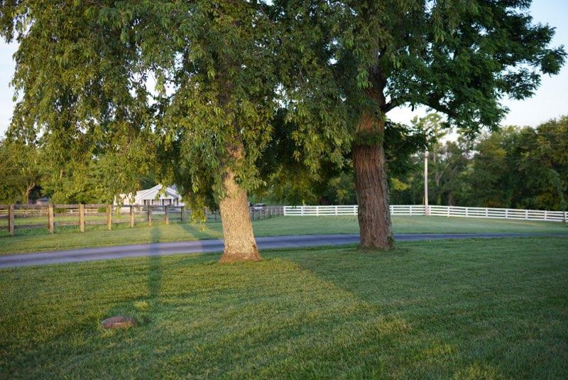 676 Sebree Road Stamping Ground, KY 40379 - Photo 4 of 64 Driveway