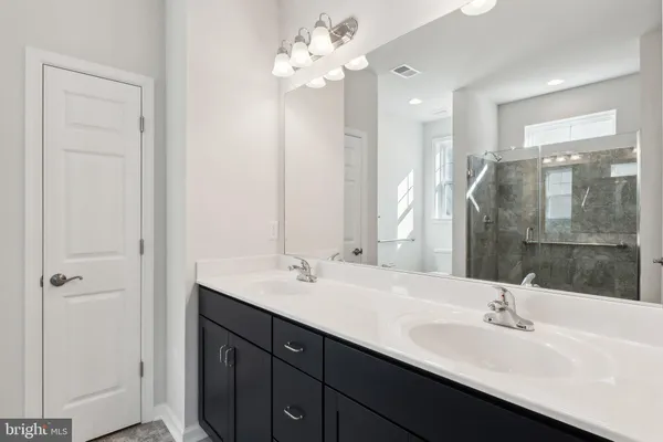 a bathroom with a double vanity sink a mirror and a shower
