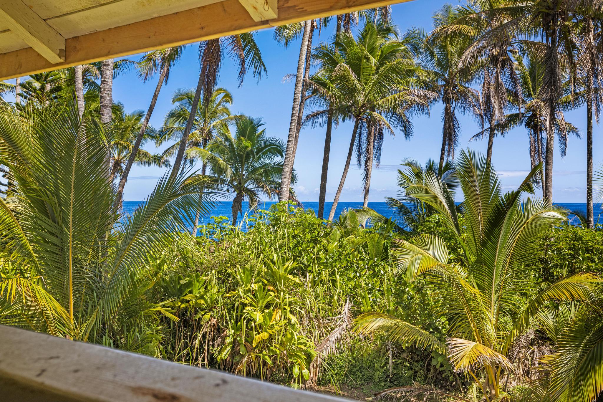 15-2649 Government Beach Road Pahoa, HI 96778 - Photo 25 of 30