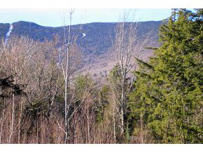 Lot 2 Rumble Road Warren, VT 05674 - Photo 4 of 8