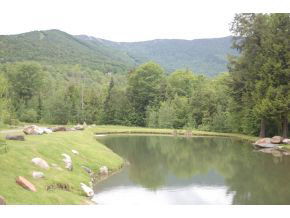 Lot 2 Rumble Road Warren, VT 05674 - Photo 5 of 8
