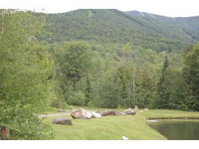 Lot 2 Rumble Road Warren, VT 05674 - Photo 6 of 8