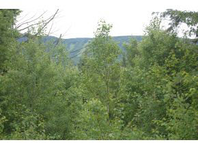Lot 2 Rumble Road Warren, VT 05674 - Photo 7 of 8