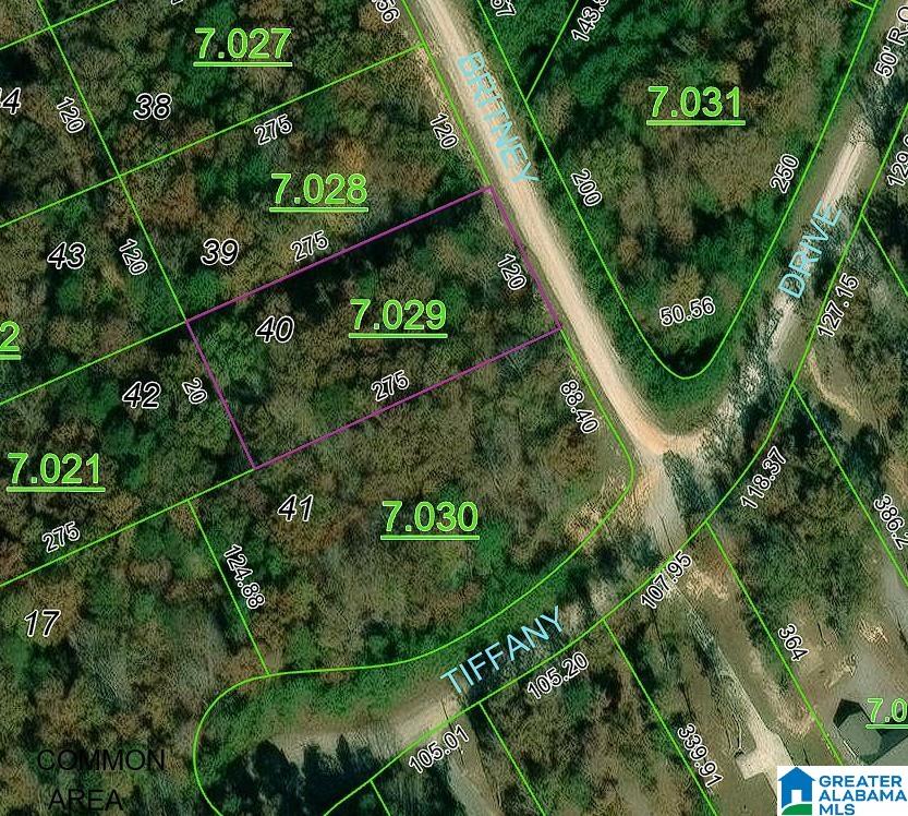 Tbd Big Bear Branch Road, Unit 40 Double Springs, AL 35553 - Photo 1 of 2 Gallery Image 1