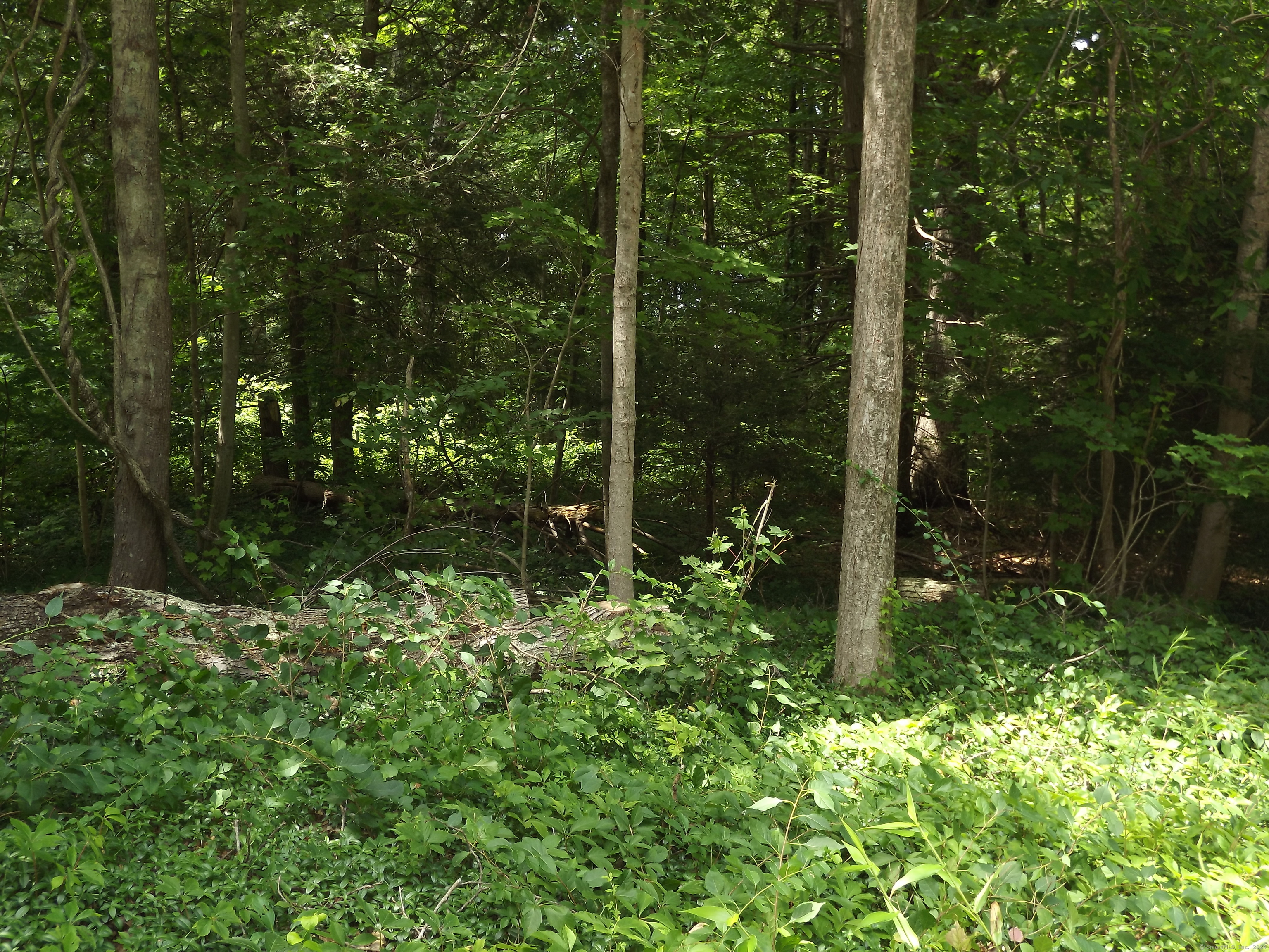 North Moodus Road Moodus, CT 06469 - Photo 1 of 1