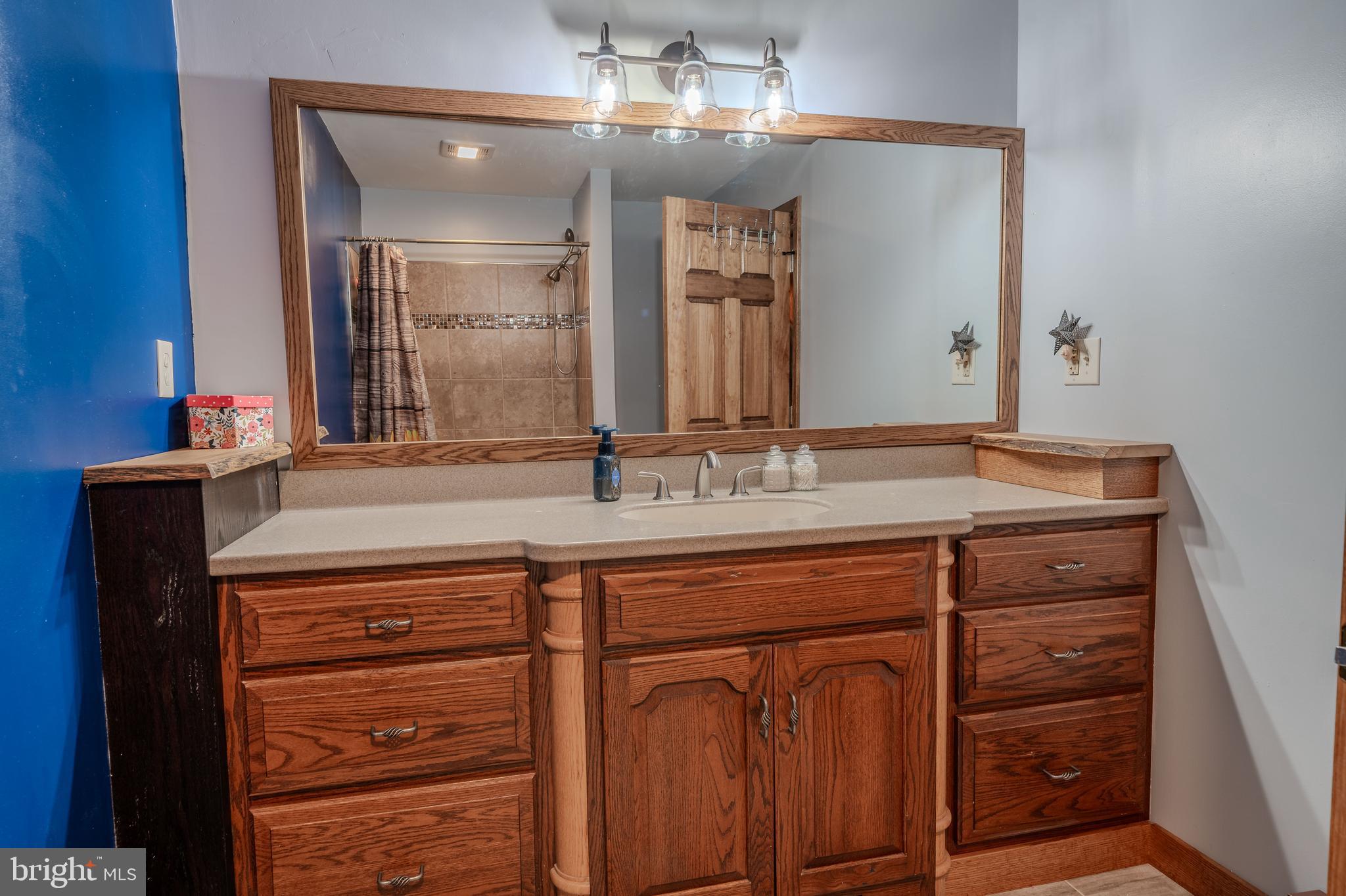 338 Culp Road Sunbury, PA 17801 - Photo 27 of 43 a bathroom with a sink and a mirror