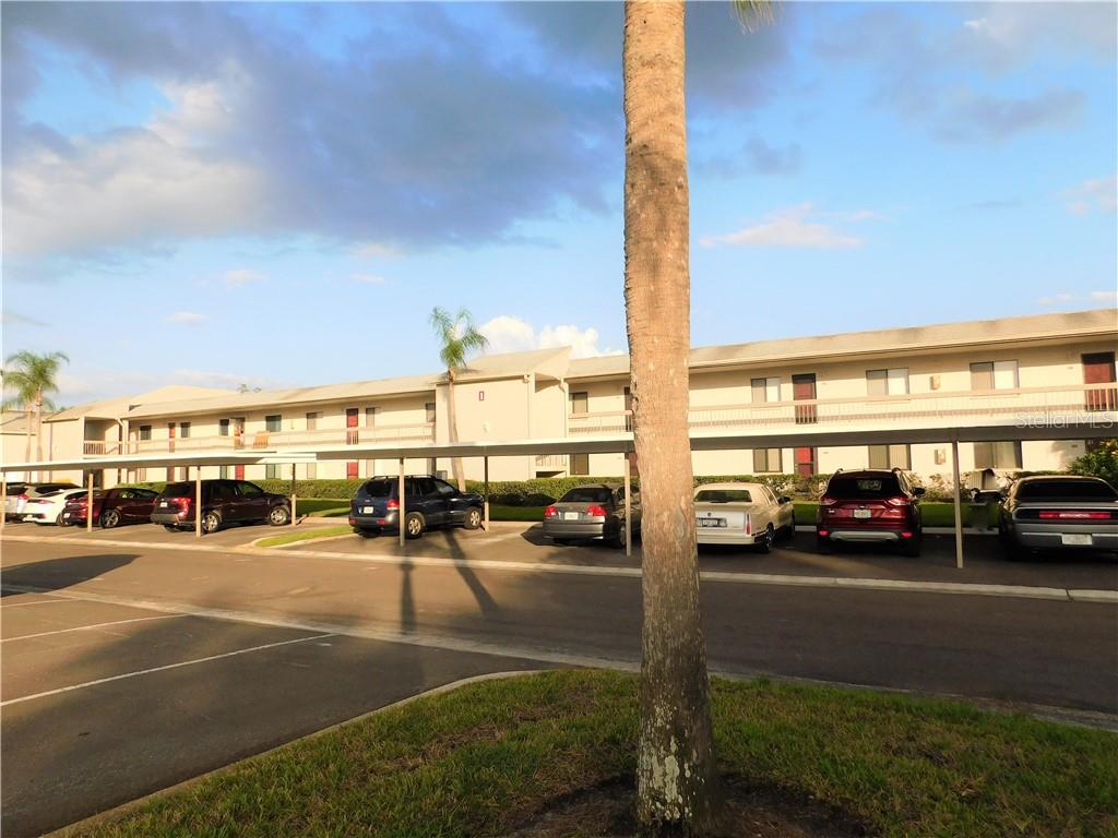 218 Caryl Way, Unit 218 Oldsmar, FL 34677 - Photo 1 of 1