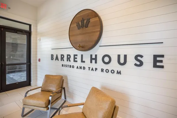 a view of a garden with a tree