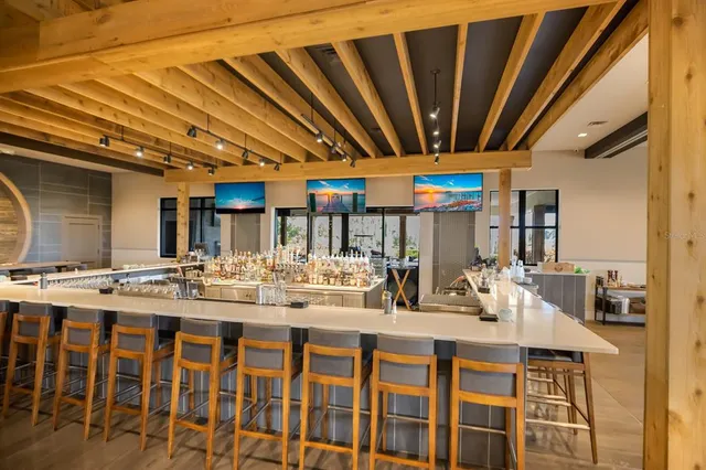 a view of a garden with palm trees