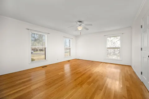 a view of dirt yard with a large tree