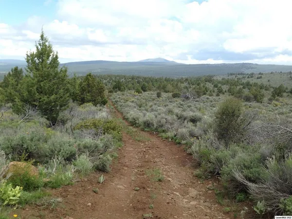 $18,000 | 0 Lone Pine Trail, Termo, CA 96119