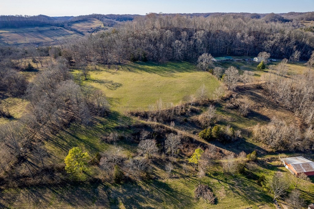 61 Kemp Hollow Road Pleasant Shade, TN 37145 - Photo 12 of 23 Gallery Image 12