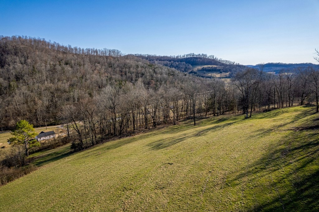 61 Kemp Hollow Road Pleasant Shade, TN 37145 - Photo 15 of 23 Gallery Image 15