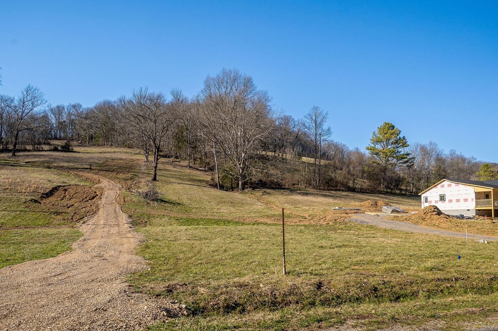 61 Kemp Hollow Road Pleasant Shade, TN 37145 - Photo 20 of 23 Gallery Image 20
