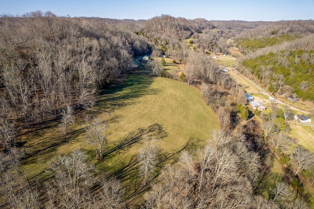 61 Kemp Hollow Road Pleasant Shade, TN 37145 - Photo 5 of 23 Gallery Image 5