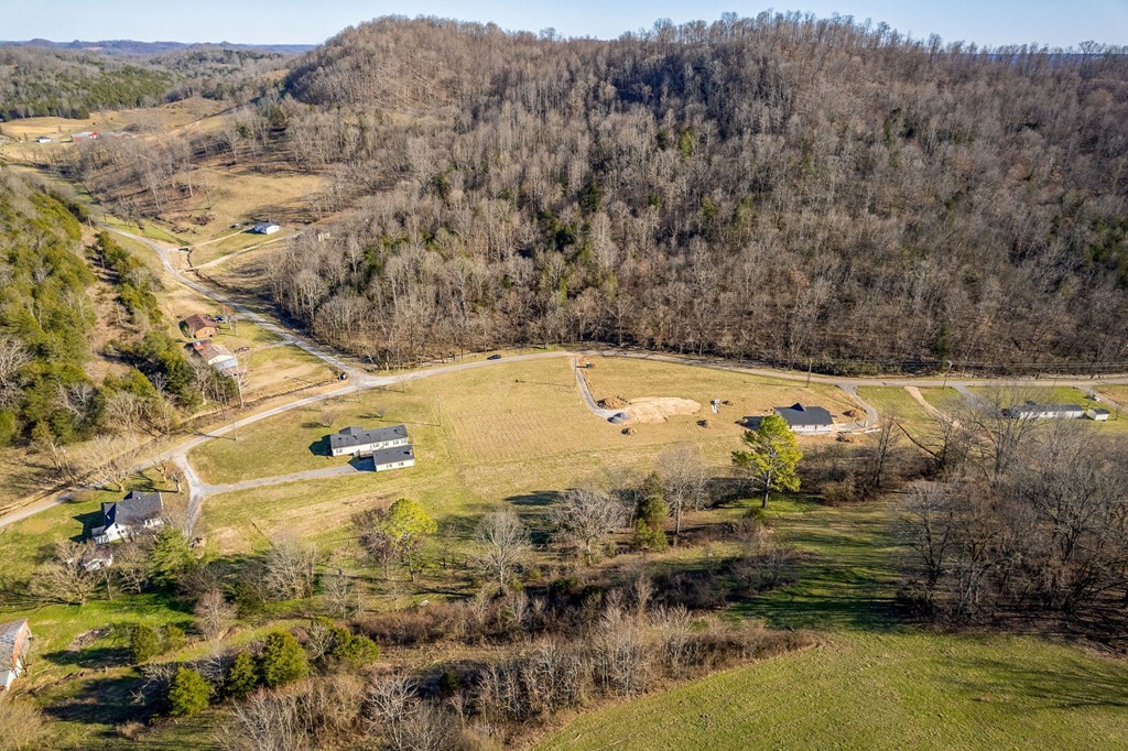 61 Kemp Hollow Road Pleasant Shade, TN 37145 - Photo 8 of 23 Gallery Image 8