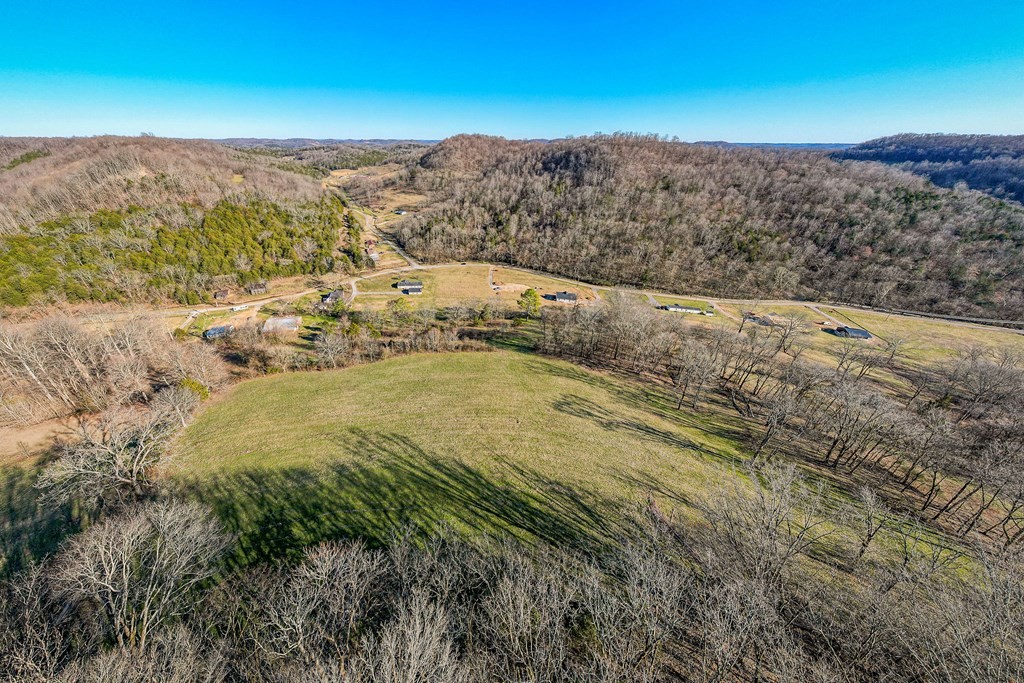 61 Kemp Hollow Road Pleasant Shade, TN 37145 - Photo 9 of 23 Gallery Image 9