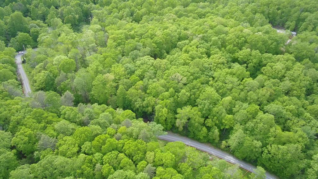 Lot 19 Brookstone Road, Unit 19 Bastian, VA 24314 - Photo 17 of 19 Gallery Image 17