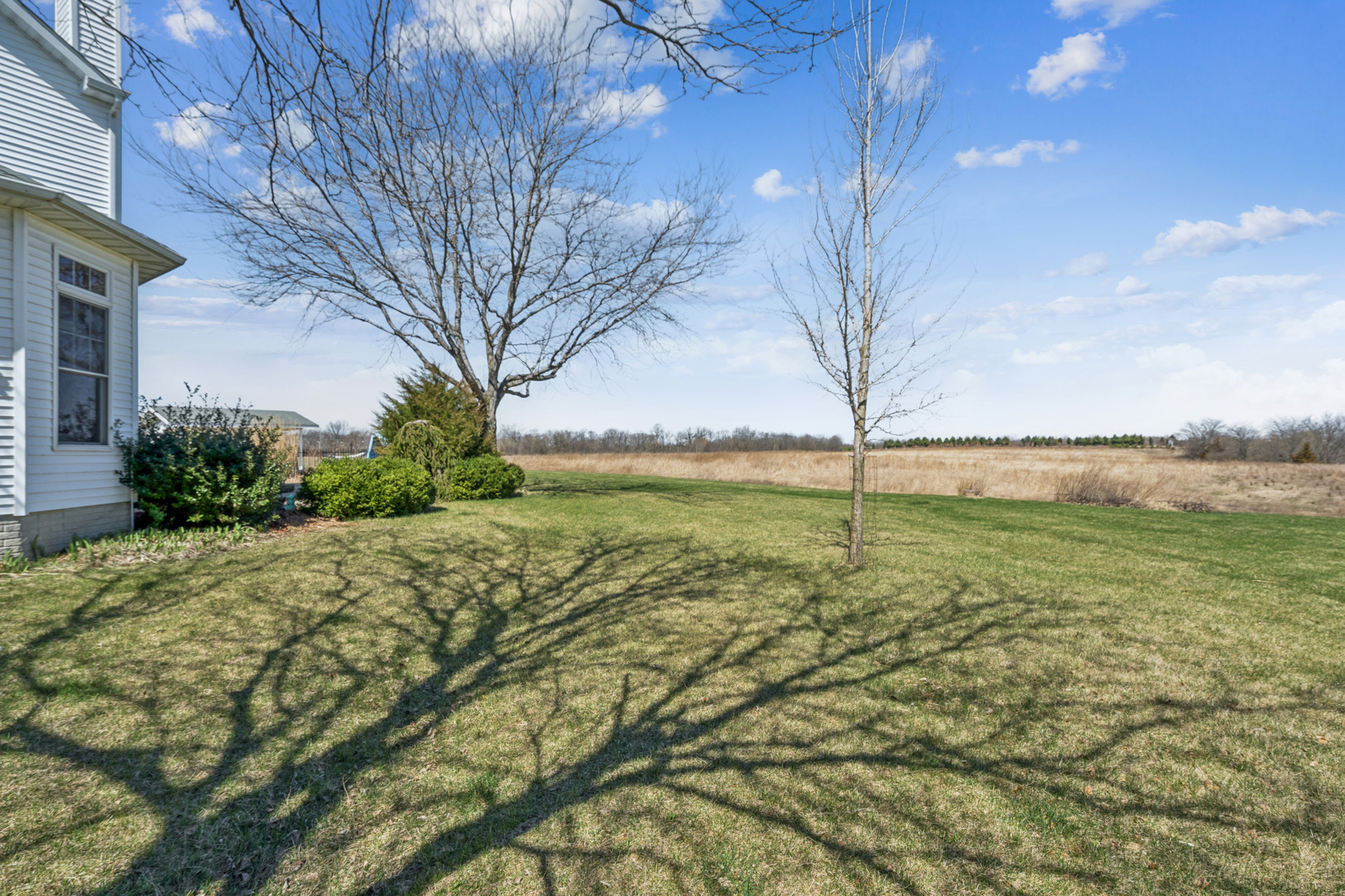 3203 148th Avenue Milan, IL 61264 - Photo 38 of 65 a view of an outdoor space and a yard