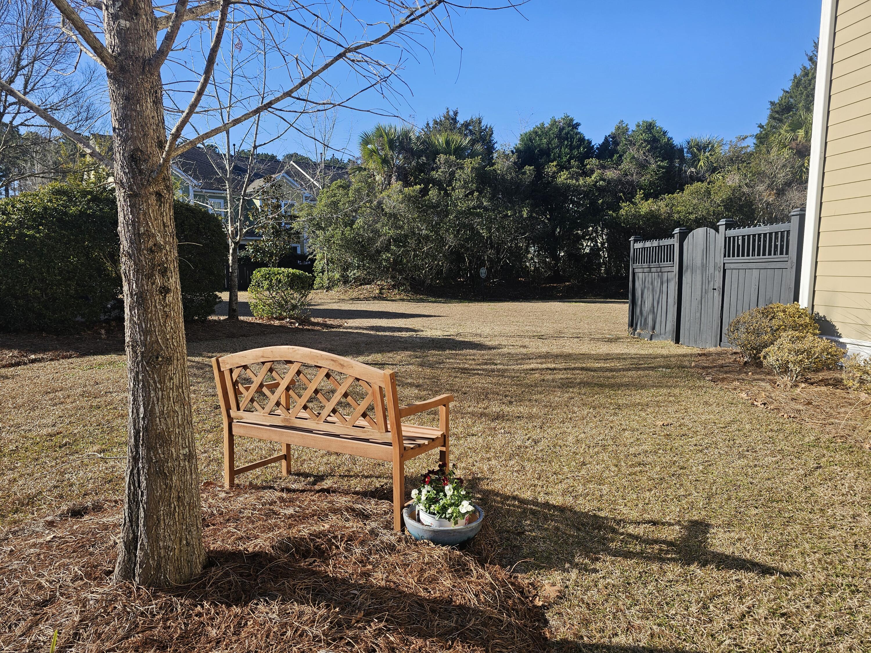 2569 Kings Gate Lane Mount Pleasant, SC 29466 - Photo 14 of 55 Side yard.
