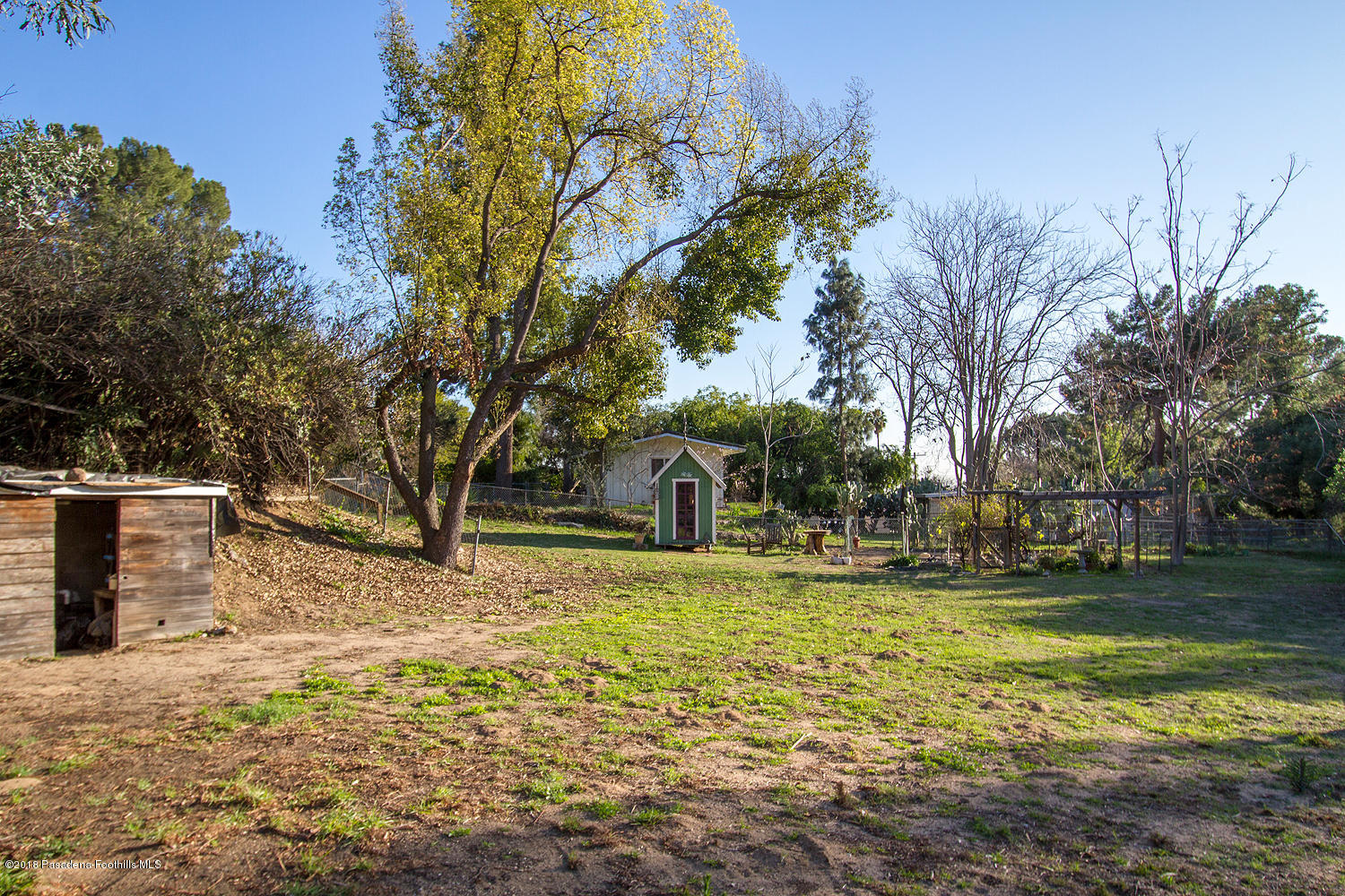3501 Hollyslope Road Altadena, CA 91001 - Photo 29 of 35 a view of a yard with a tree