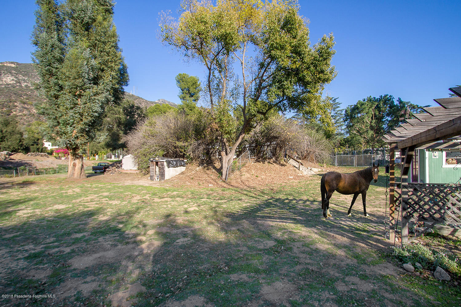 3501 Hollyslope Road Altadena, CA 91001 - Photo 30 of 35 a view of a yard with plants and trees