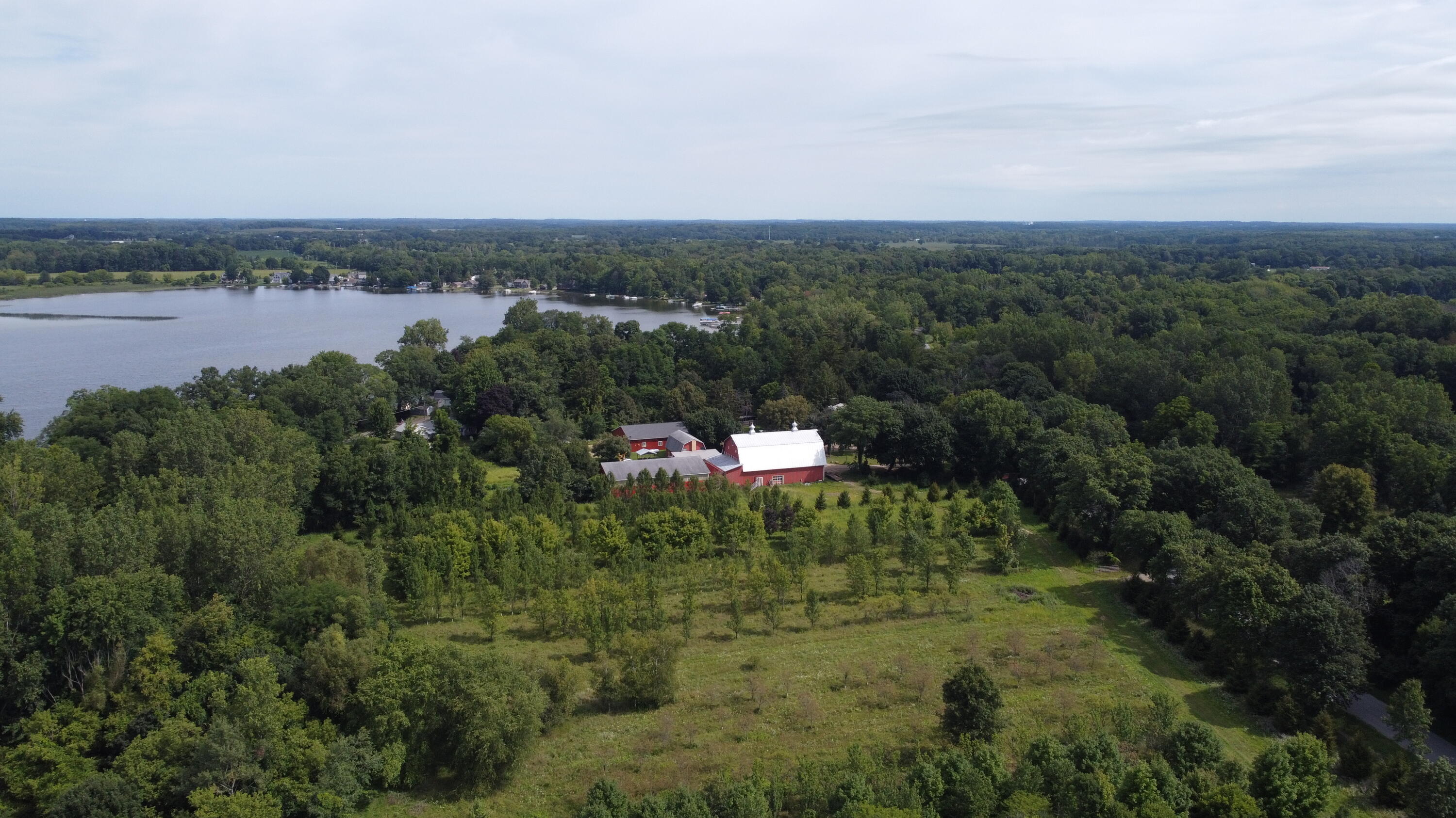 10505 18 1/2 Mile Road Marshall, MI 49068 - Photo 5 of 16 MLS5
