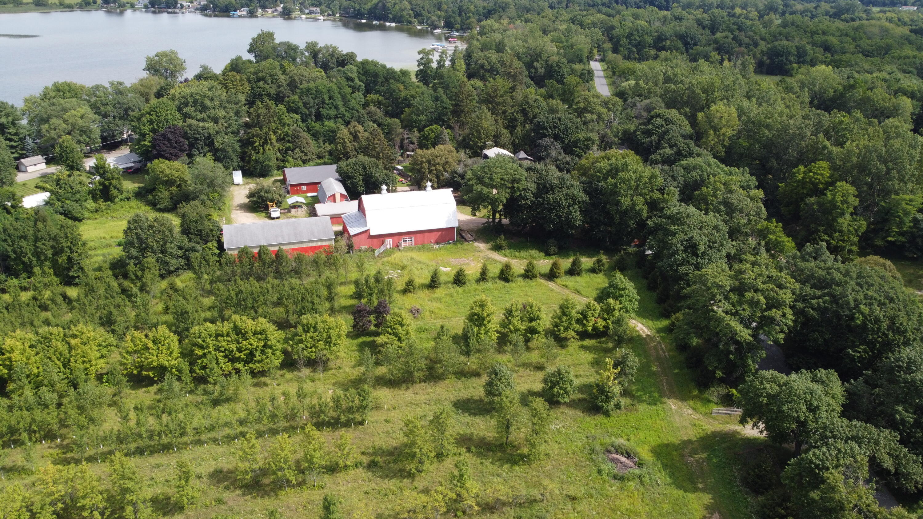 10505 18 1/2 Mile Road Marshall, MI 49068 - Photo 6 of 16 MLS6