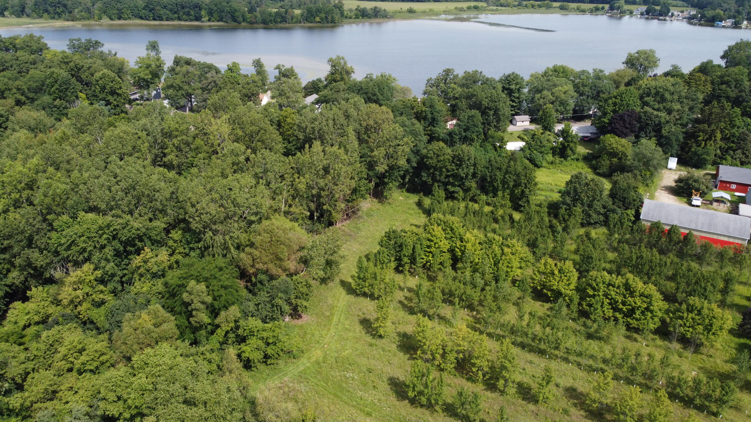 10505 18 1/2 Mile Road Marshall, MI 49068 - Photo 7 of 16 MLS7