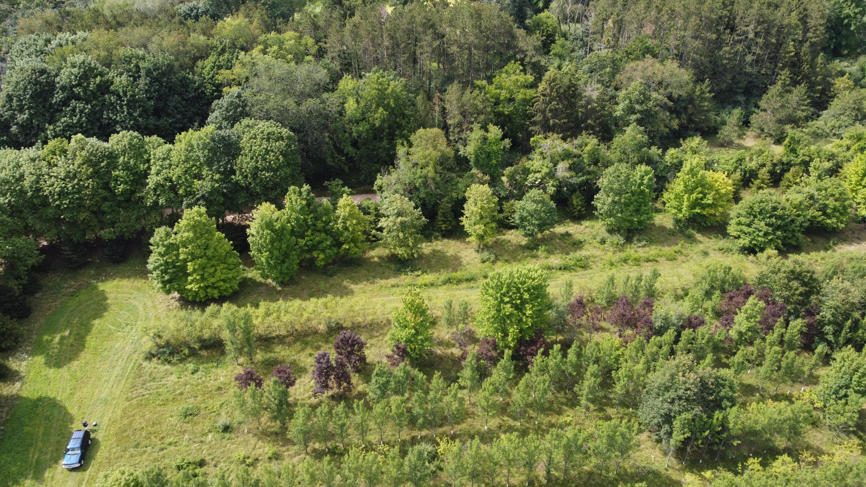 10505 18 1/2 Mile Road Marshall, MI 49068 - Photo 9 of 16 MLS10