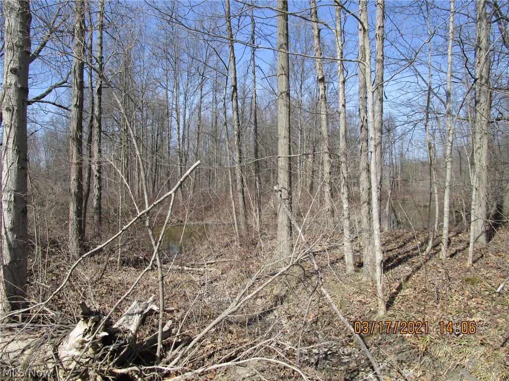 1 Plank Road Orwell, OH 44076 - Photo 4 of 15 Gallery Image 4