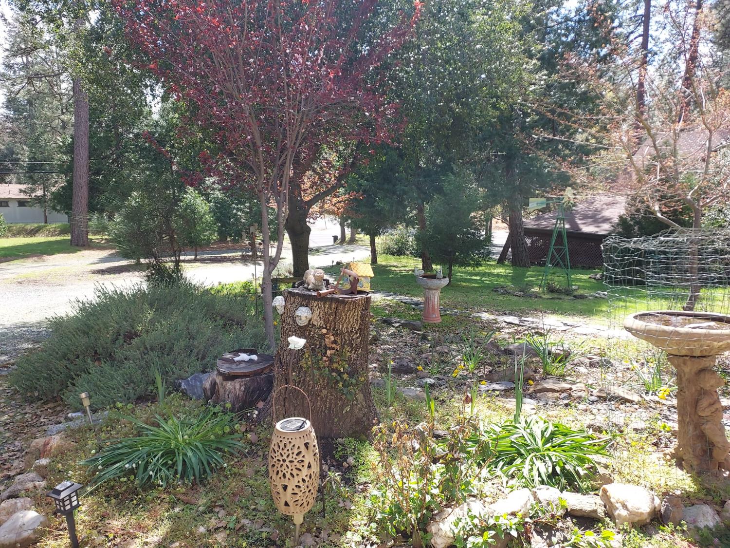 19390 Ferretti Road Groveland, CA 95321 - Photo 5 of 26